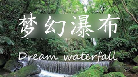 猎人的生存日记加强版