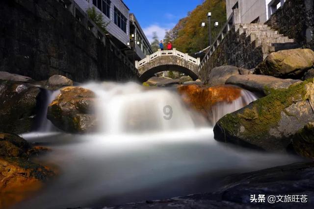 上海好的肿瘤医院-支气管扩张主要病因