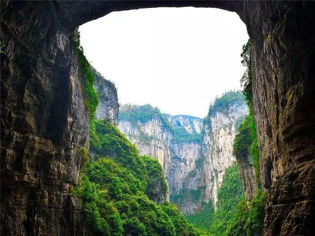 巧变同色